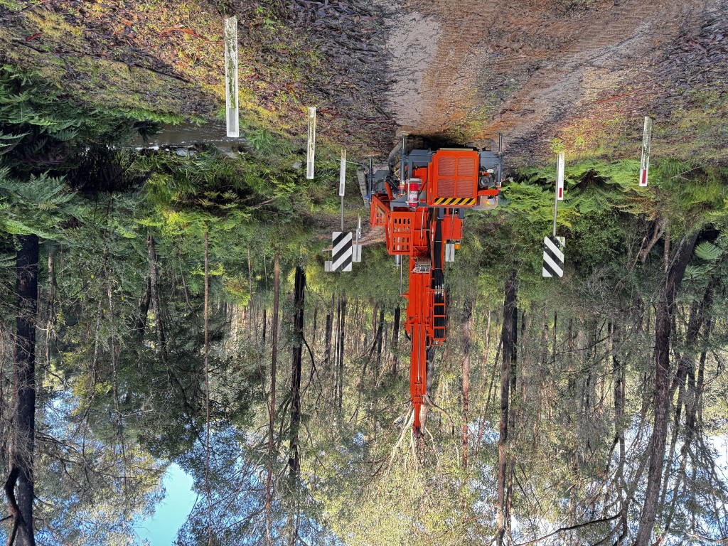 Forest Drilling Reflection