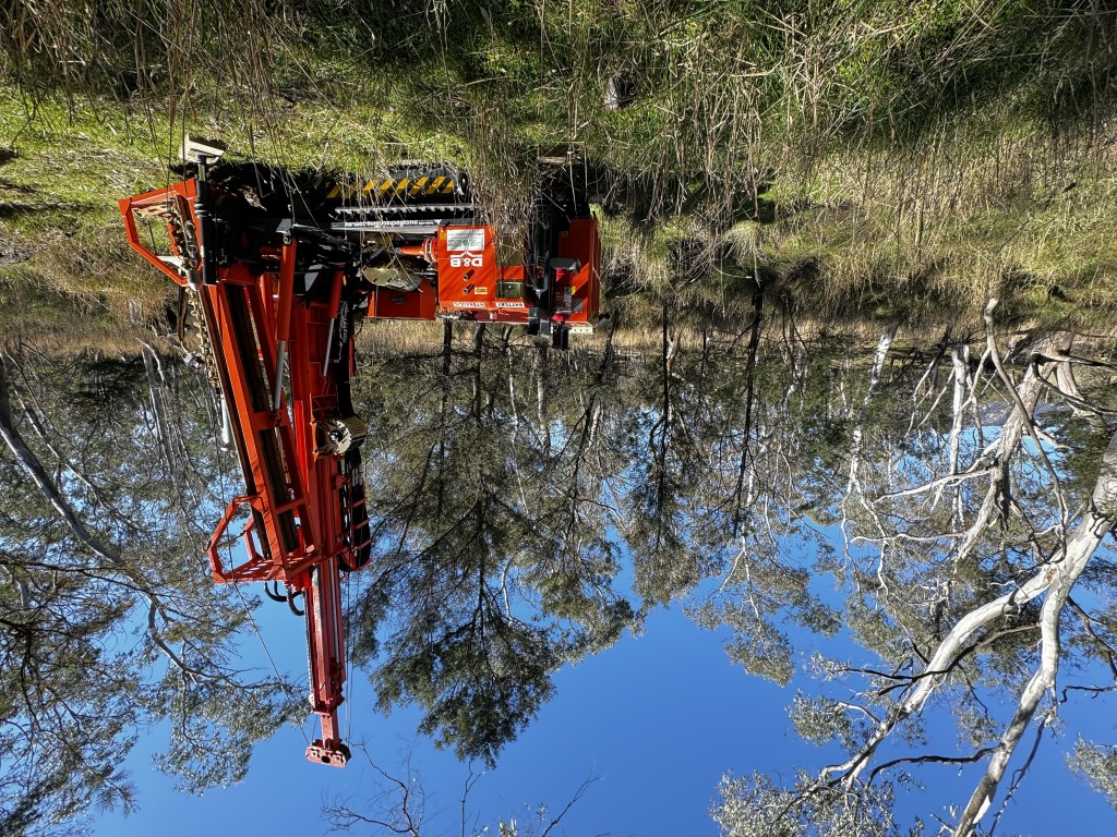 Wetland Investigation